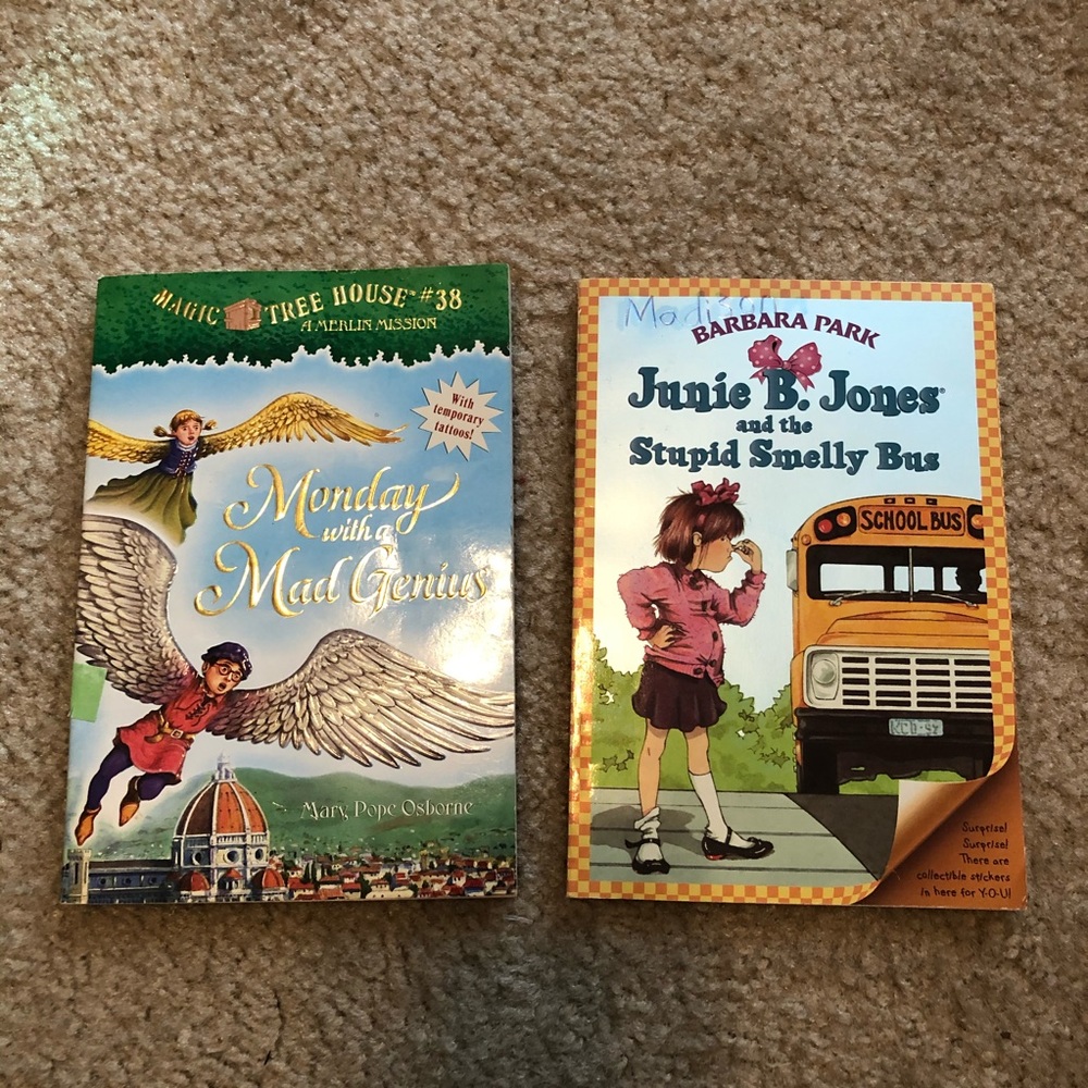 Magic Tree House & Junie B Jones Chapter books